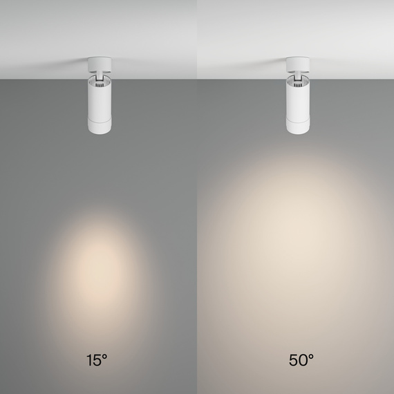 Lampa Sufitowa Maytoni Focus Zoom C055CL-L12W4K-Z-W