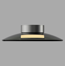 Zuma Line Pure Moon 003902-035352 Plafon