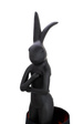 Lampka Biurkowa Moosee Rabbit 53473