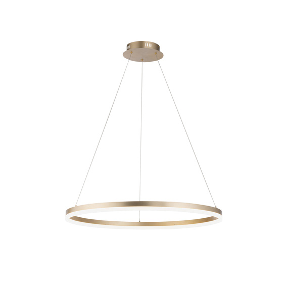 Zwis Paul Neuhaus Titus 003902-031285