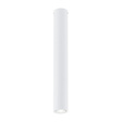 Lampa Sufitowa Emibig Tecno 1l White (1317/1L)