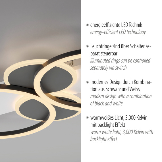 Lampa Sufitowa Paul Neuhaus Trooper 003902-031863