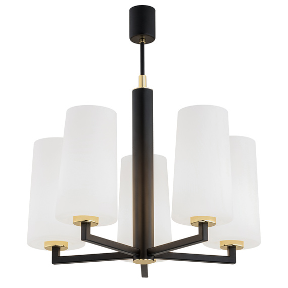 Zwis Argon Camelot Plus 2114