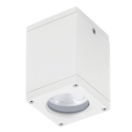 Spot zewnętrzny Novolux Mounted 555E-G21X1A-01