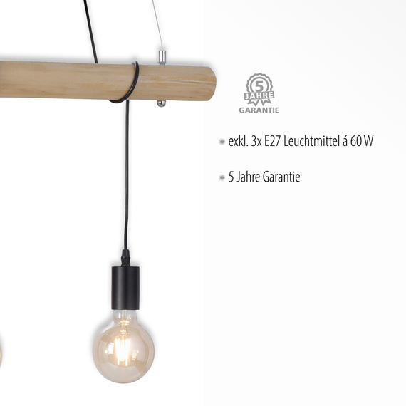 Lampa Wisząca Paul Neuhaus Edgar 003902-009783