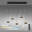 Lampa Wisząca Paul Neuhaus Pure Falling Rings 003902-035370