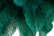 Lampa Stojąca Moosee Tiffany JL0019.GREEN