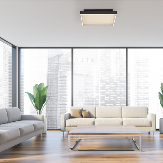 Paul Neuhaus Q-magong 003902-032214 Plafon