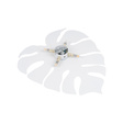 Lampa Ścienna TK Lighting Monstera 5915