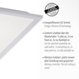 Zuma Line Flat 003902-025782 Plafon