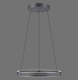 Lampa Wisząca Paul Neuhaus Pure E-loop 003902-031684