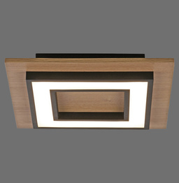 Lampa Sufitowa Paul Neuhaus Tola 003902-031866