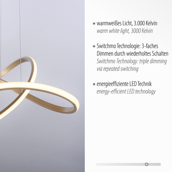 Żyrandol Paul Neuhaus Maria 003902-031965