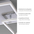Zuma Line Iven 003902-032110 Plafon