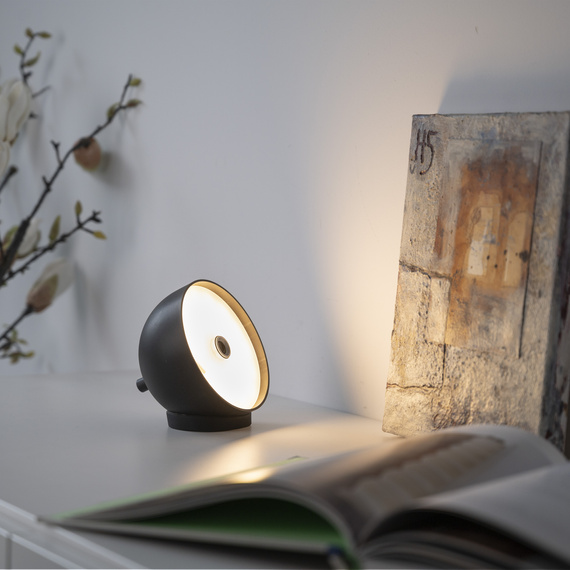 Paul Neuhaus Bellis 003902-035427 Lampka Biurkowa