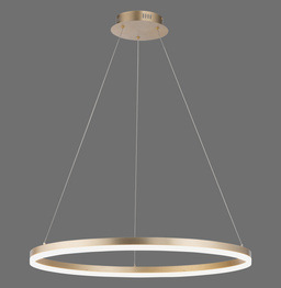 Zwis Paul Neuhaus Titus 003902-031285