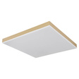 Globo Lighting Doro Plafoniera 41594D2M