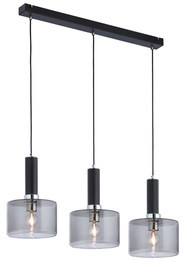 Zwis Jupiter Vanes 1860