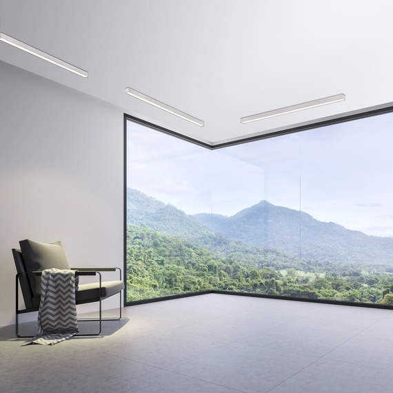 Lampa Sufitowa Paul Neuhaus Pure-lines 003902-027565