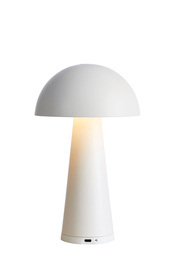 Lampa Biurkowa Markslojd Fungi 108656