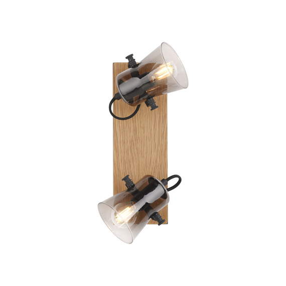 Plafon Paul Neuhaus Green Langström 003902-031763