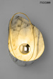 Lampa Ścienna Moosee Rock MSE1501100145