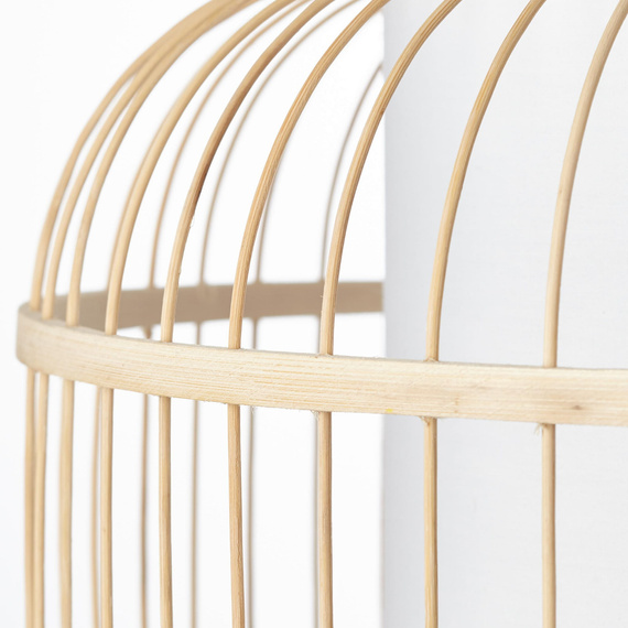 Lampa Wisząca Brilliant Bones 99266/09