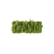 Lampa Sufitowa Zuma Line Green Carl 003902-031979
