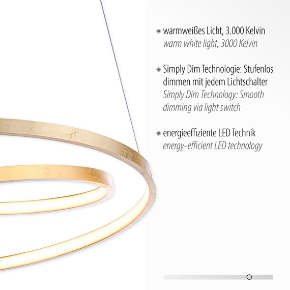 Zwis Paul Neuhaus Roman 003902-002342