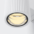 Lampa ścienna zewnętrzna Rando Maytoni O419WL-02W