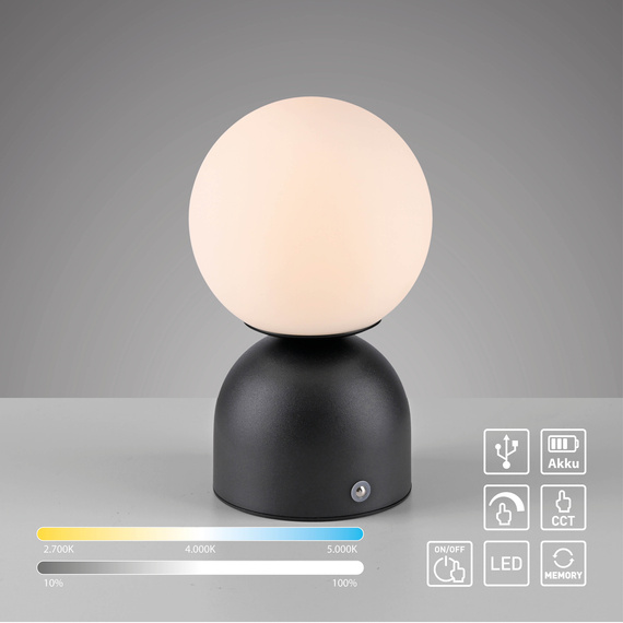 Zuma Line Rudi 003902-035420 Lampka Biurkowa