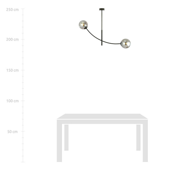 Lampa sufitowa HUNTER 2 BLACK/GRAFIT czarny (1100/2) - Emibig