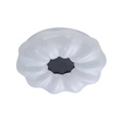 Italux Lampa sufitowa Sonia PLF-45372-M-CL 