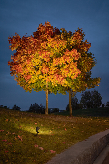 Lampa naświetlająca Norlys Sande 1593BL
