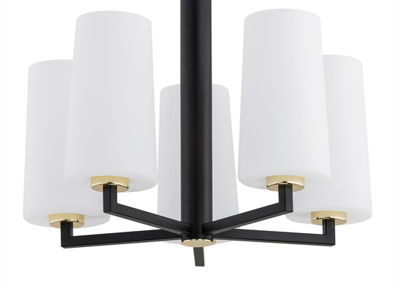 Zwis Argon Camelot Plus 2114