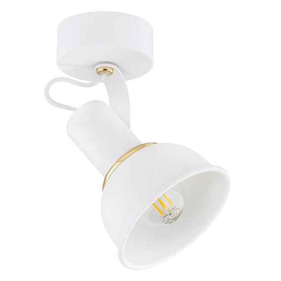 Kinkiet Argon 4899 Twist