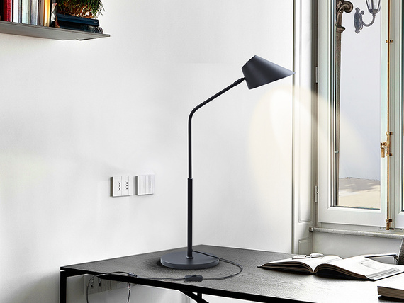 Lampa gabinetowa 215930 Schuller Esino 