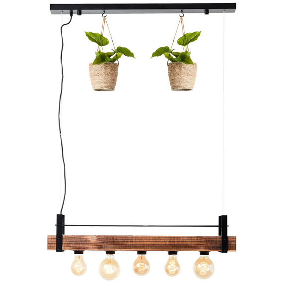 Zwis Brilliant Bankwood 99541/76