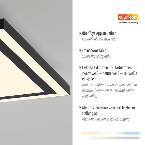 Plafon Paul Neuhaus Edging-smart 003902-031851