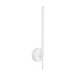 Lampa Ścienna TK Lighting Focus 5396