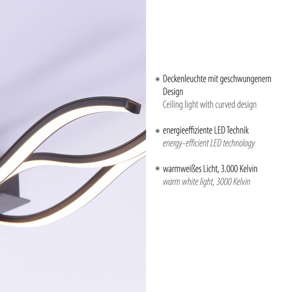 Lampa Sufitowa Paul Neuhaus Wave 003902-031935