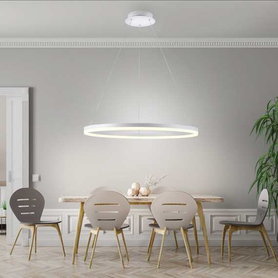 Zwis Paul Neuhaus Titus 003902-032150