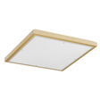 Lampa Sufitowa Argon Carlson 1802