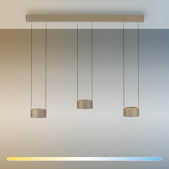 Zwis Paul Neuhaus Pure Clipse 003902-035386