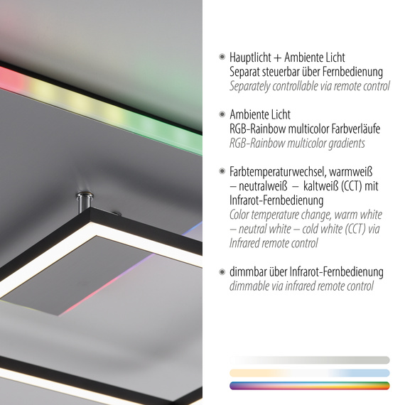 Paul Neuhaus Renda 003902-031756 Plafon