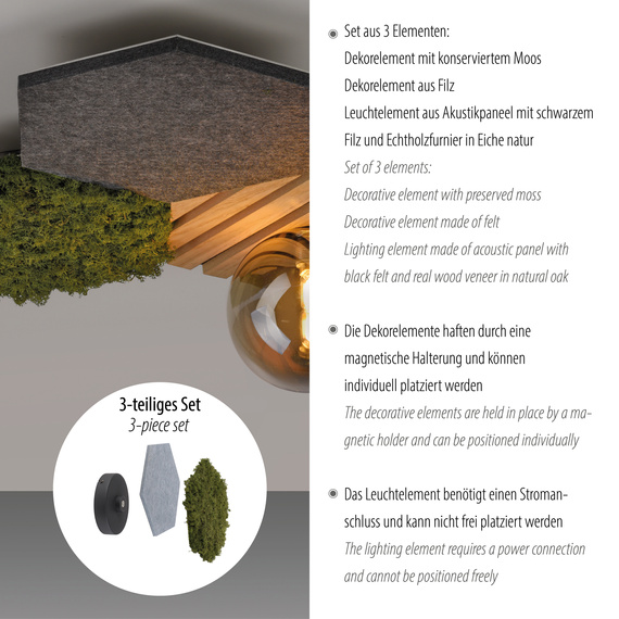 Plafon Paul Neuhaus Green Hex 003902-031936
