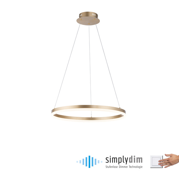 Lampa Wisząca Paul Neuhaus Titus 003902-032149