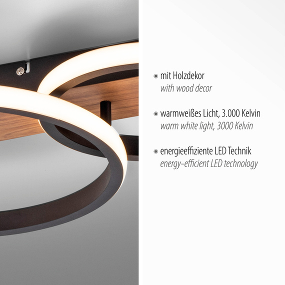 Plafon Paul Neuhaus Trooper 003902-028903