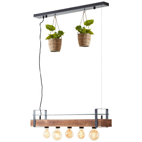 Zwis Brilliant Bankwood 99541/76