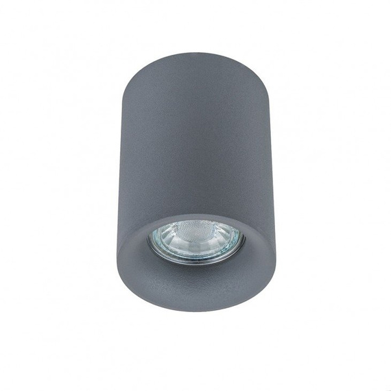 Lampa sufitowa Italux Flynn TM09080-GR